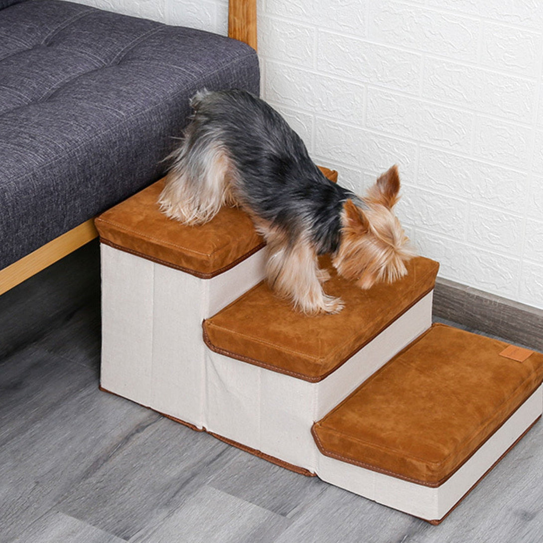 Dog Climbing Stairs with Storage - PawPattz