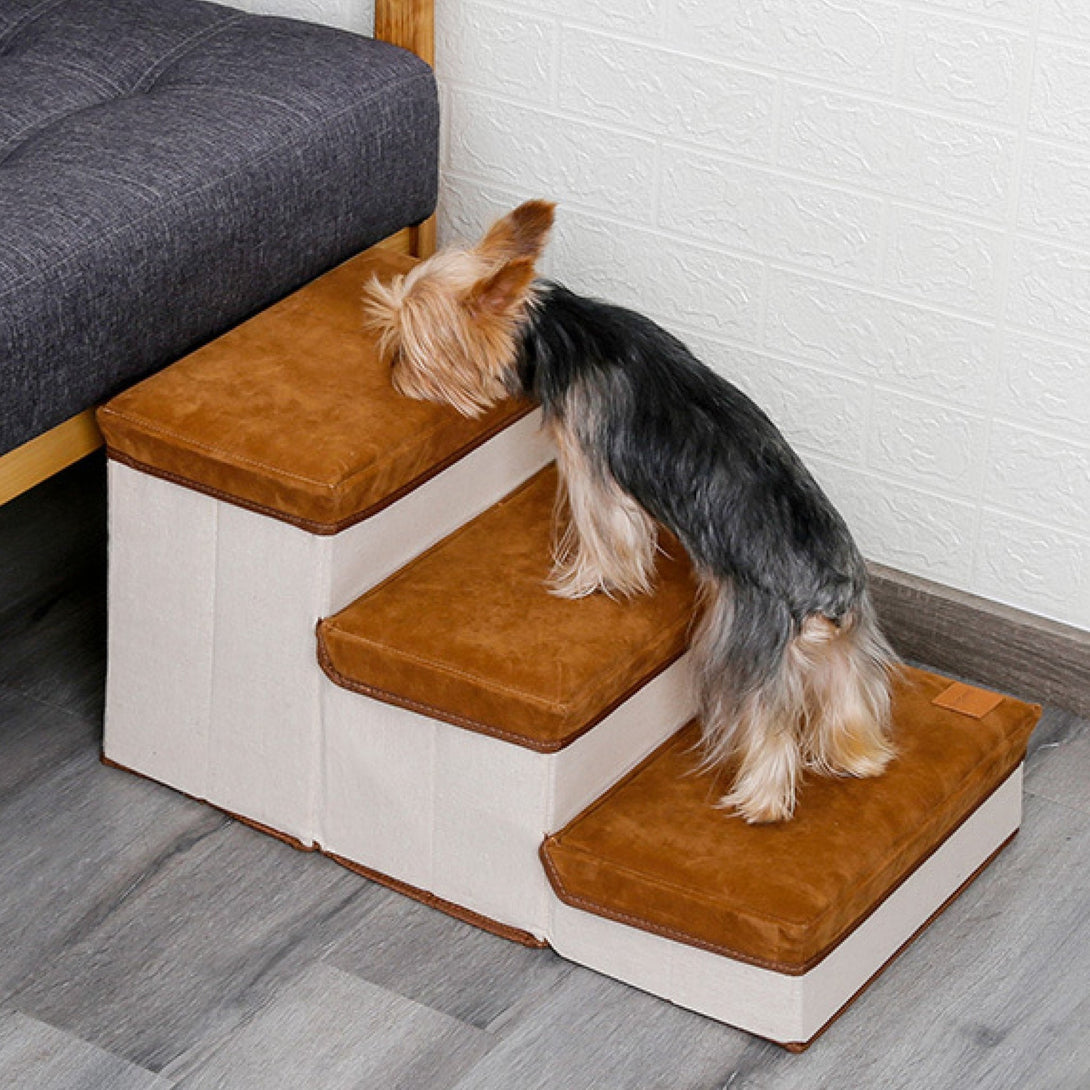 Dog Climbing Stairs with Storage - PawPattz
