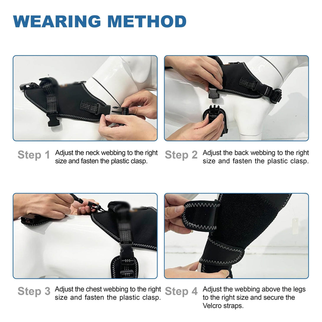 Dog Knee Brace – Soft Support (No Metal Splints) - PawPattz