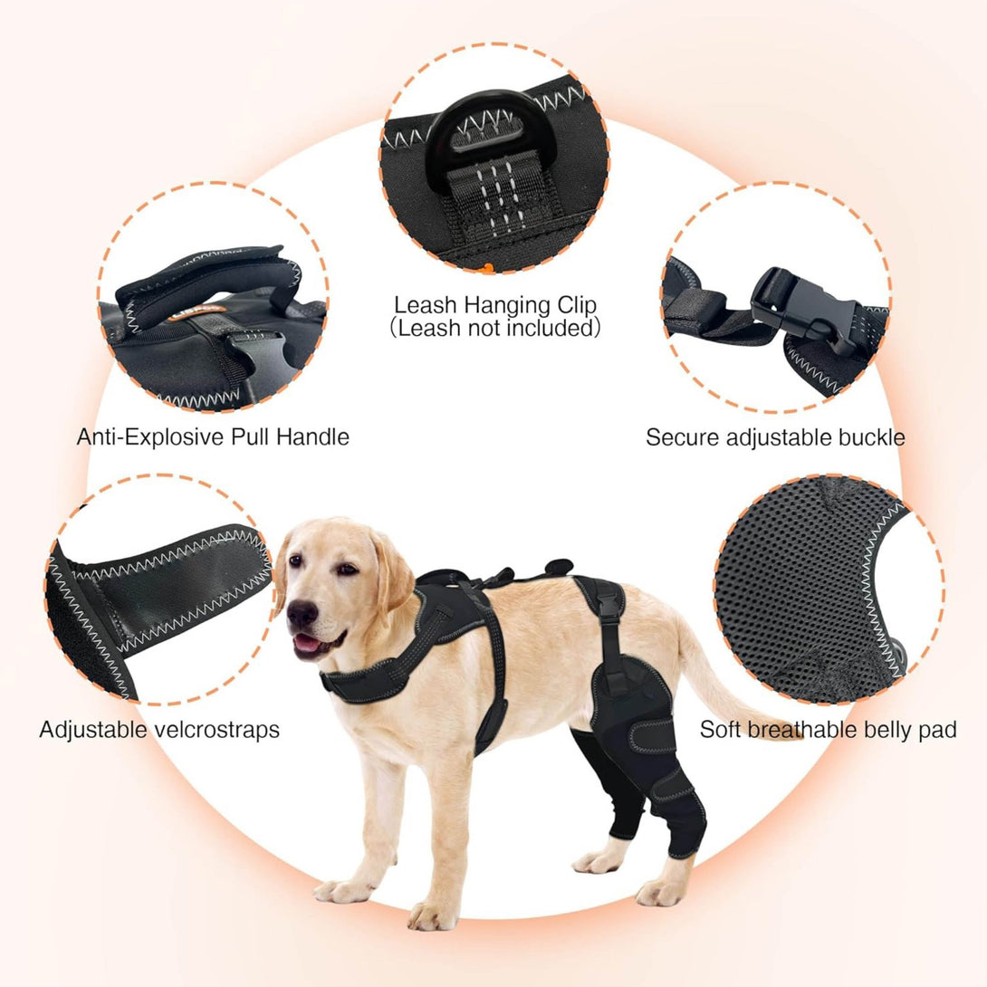 Dog Knee Brace – Soft Support (No Metal Splints) - PawPattz