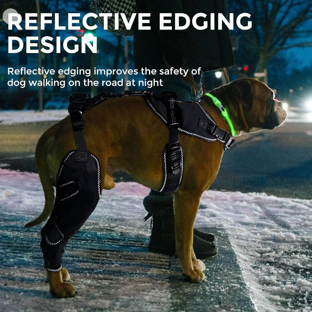 Dog Knee Brace – Soft Support (No Metal Splints) - PawPattz