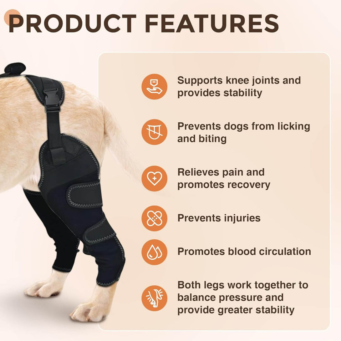 Dog Knee Brace – Soft Support (No Metal Splints) - PawPattz