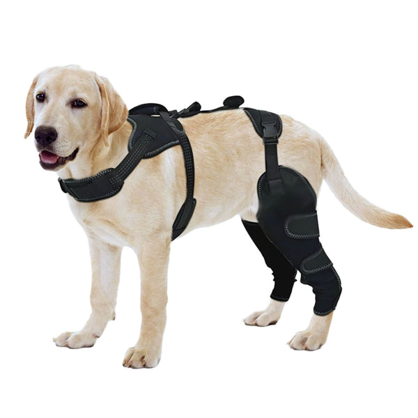 Dog Knee Brace – Soft Support (No Metal Splints) - PawPattz