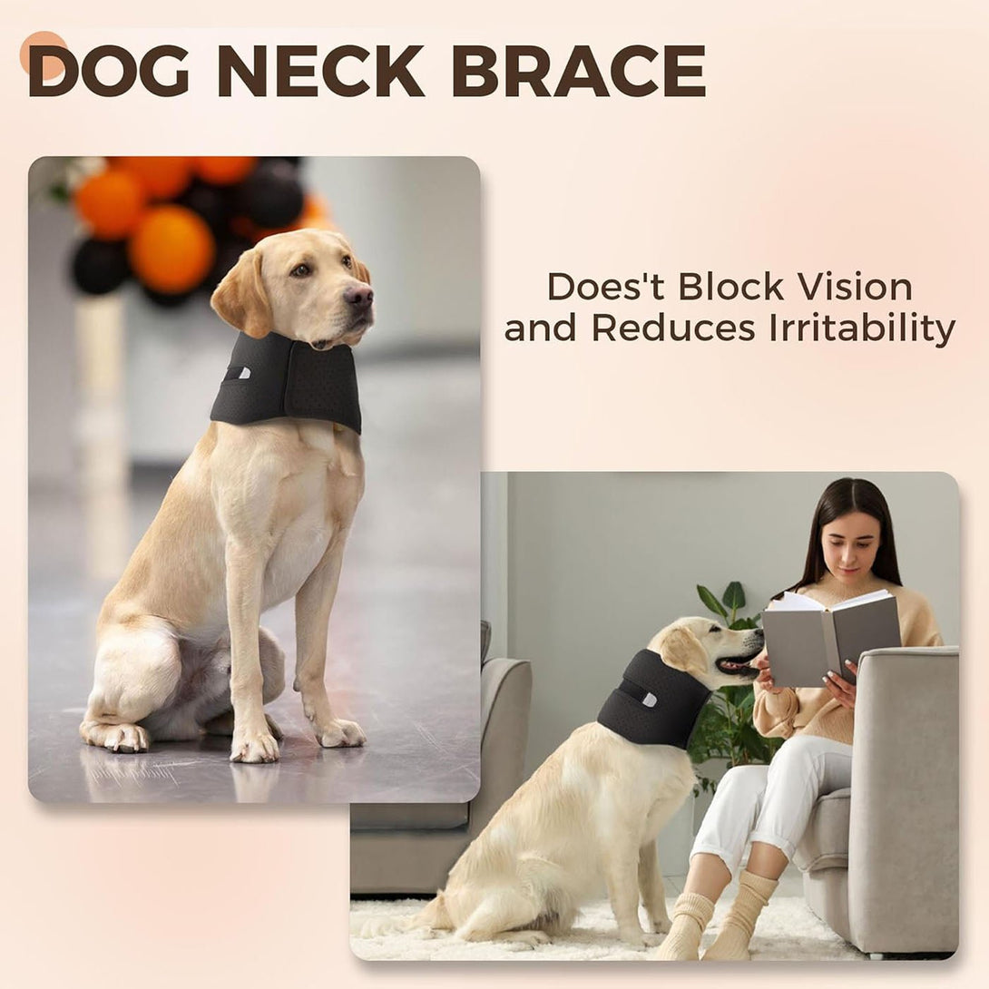 Dog Neck Brace for Cervical Support - PawPattz