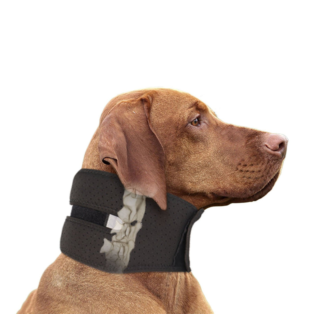 Dog Neck Brace for Cervical Support - PawPattz