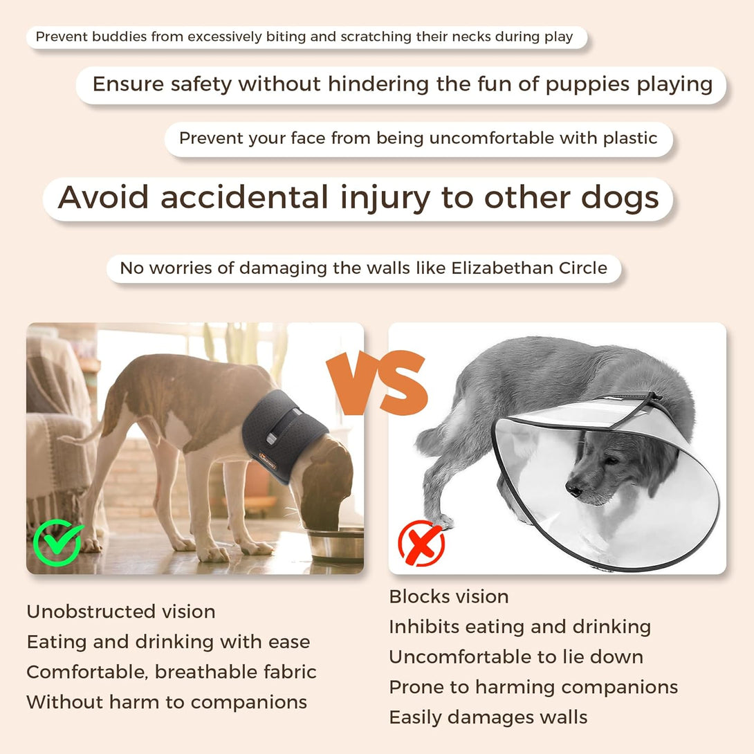 Dog Neck Brace for Cervical Support - PawPattz