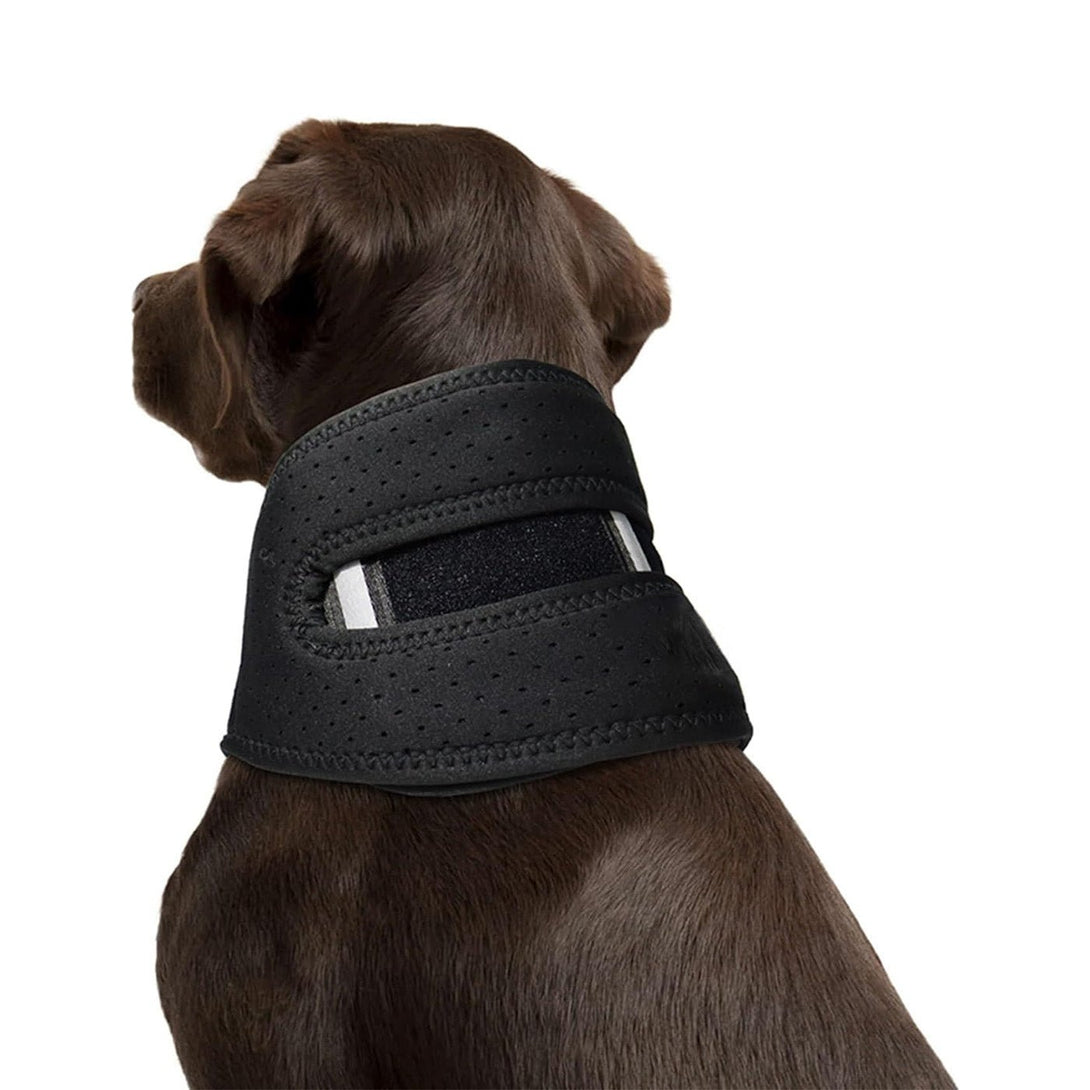 Dog Neck Brace for Cervical Support - PawPattz