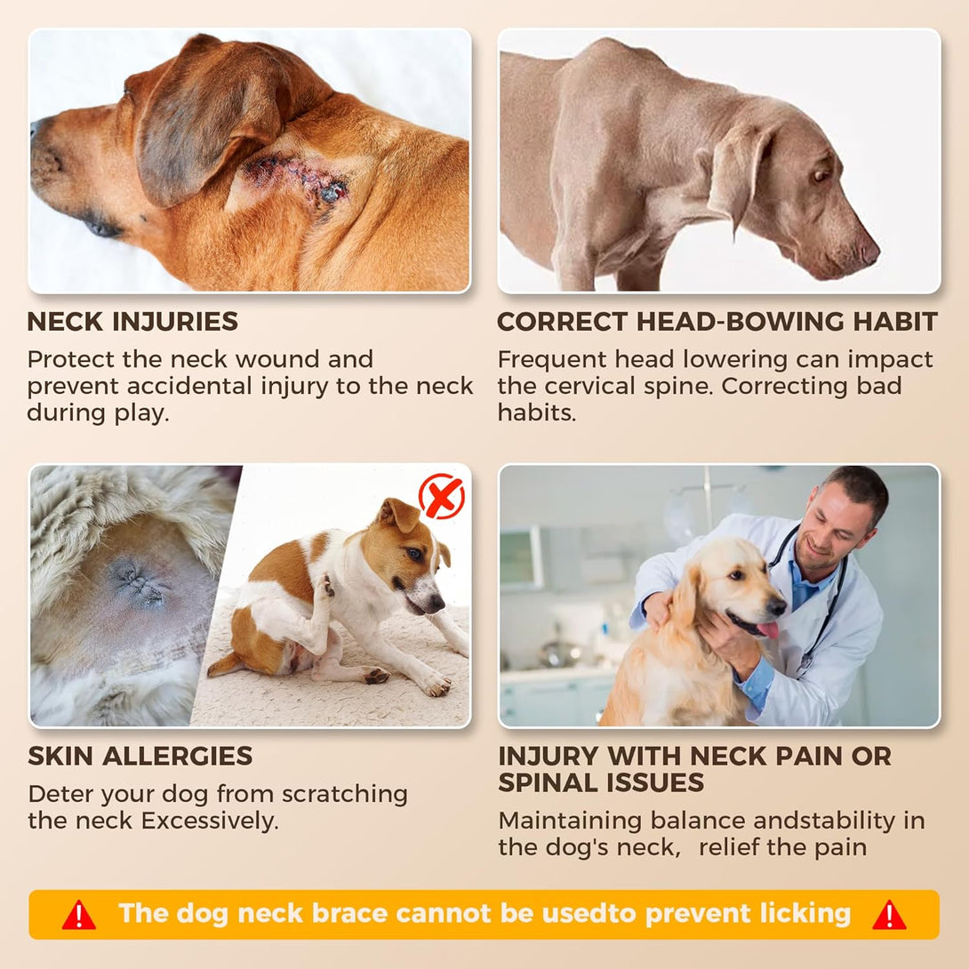 Dog Neck Brace for Cervical Support - PawPattz