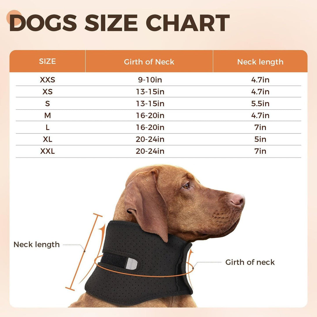 Dog Neck Brace for Cervical Support - PawPattz