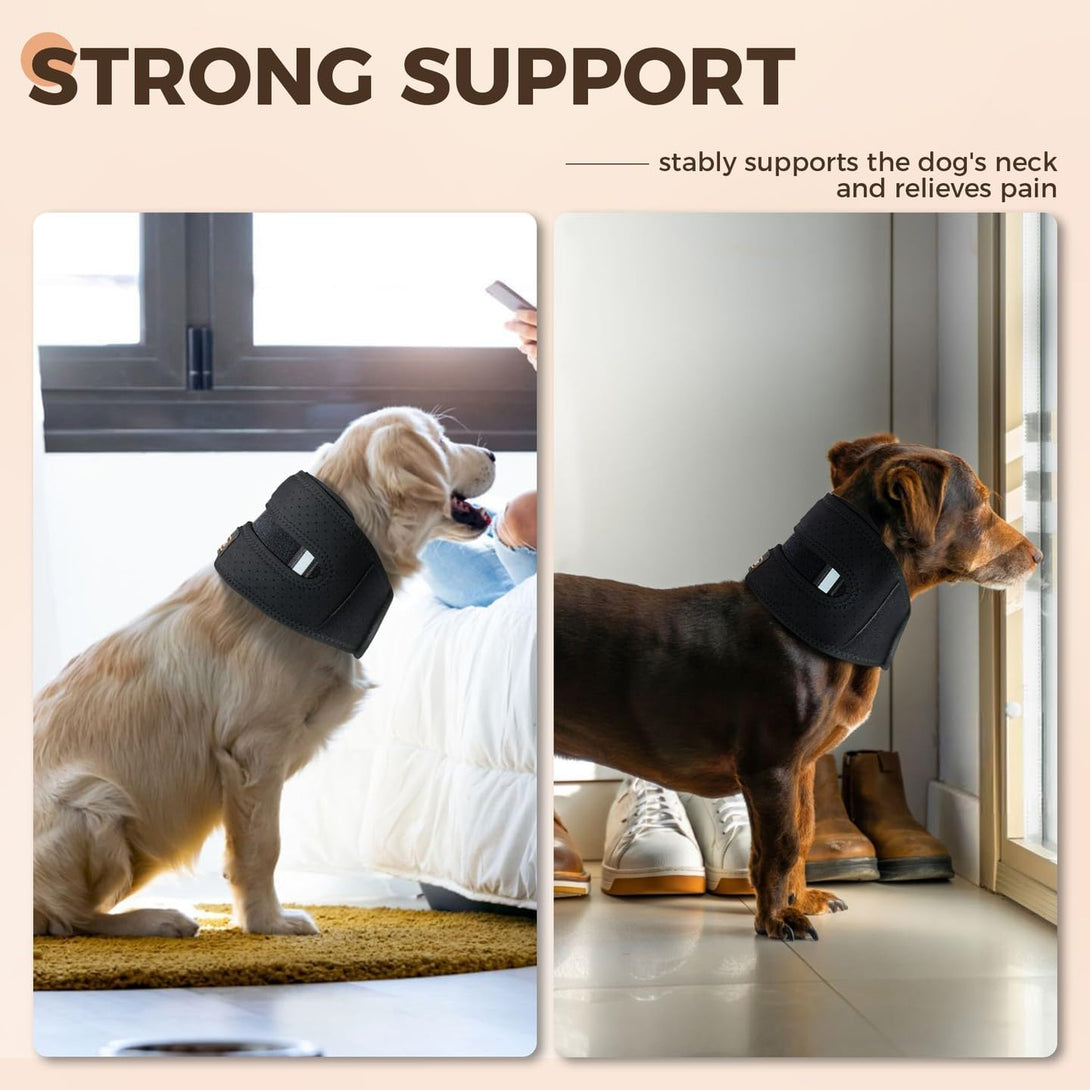 Dog Neck Brace for Cervical Support - PawPattz