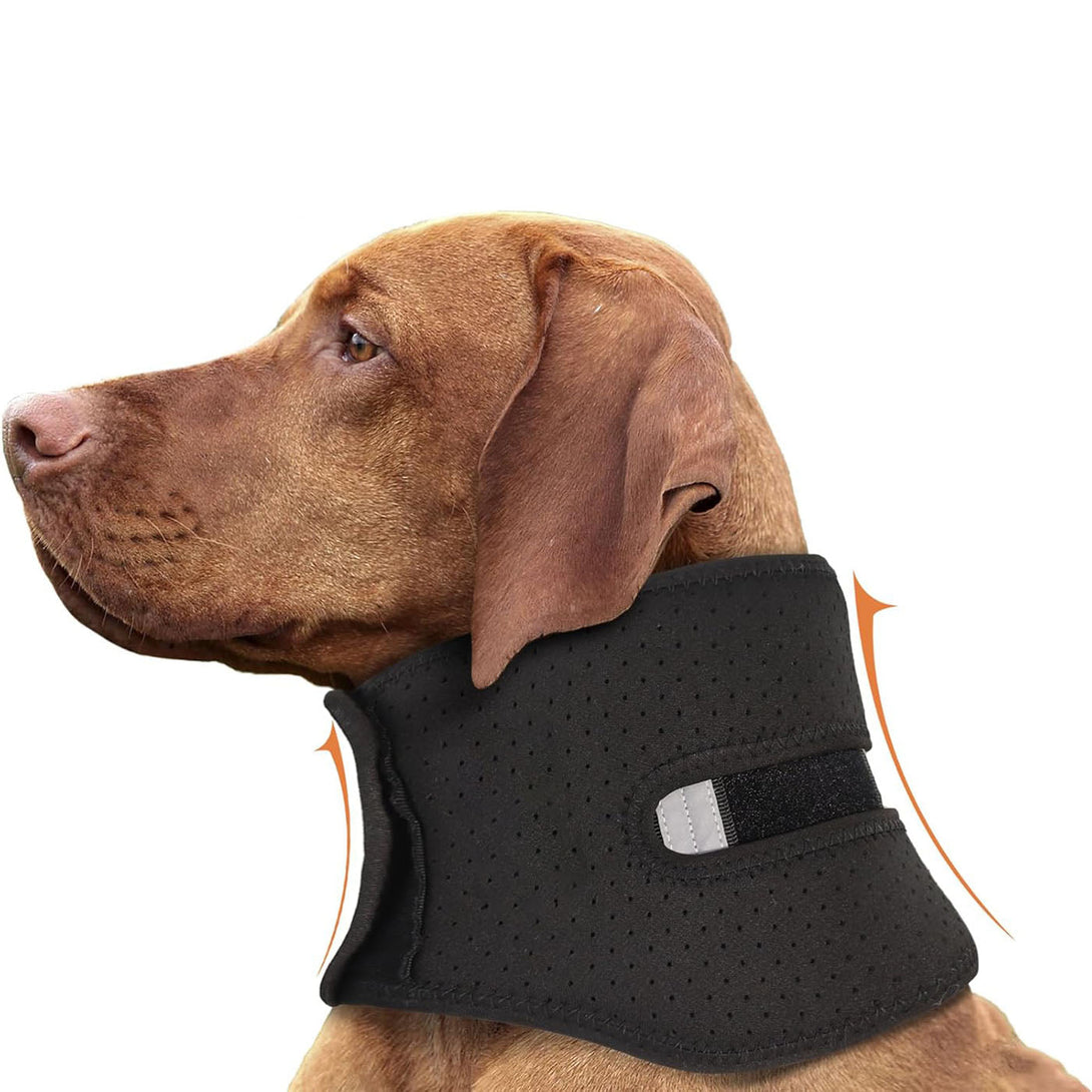 Dog Neck Brace for Cervical Support - PawPattz
