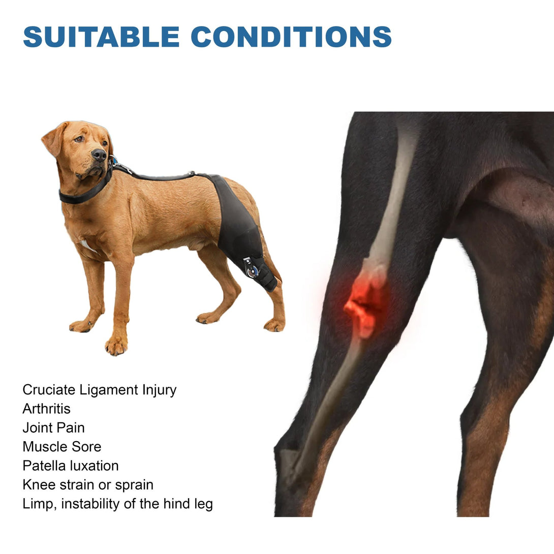 FlexiHinge Knee Brace for Single Leg - PawPattz