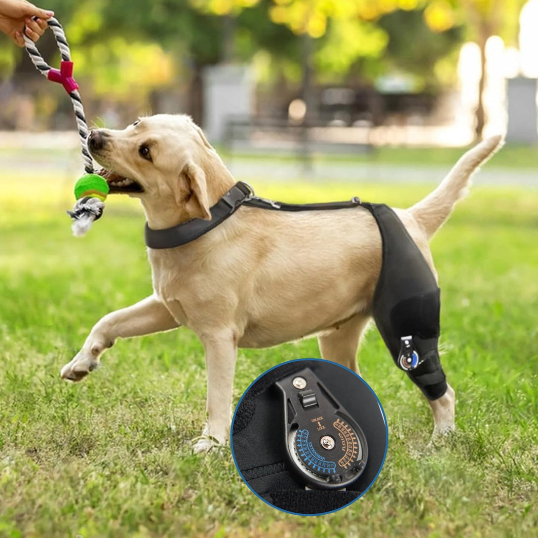 FlexiHinge Knee Brace for Single Leg - PawPattz