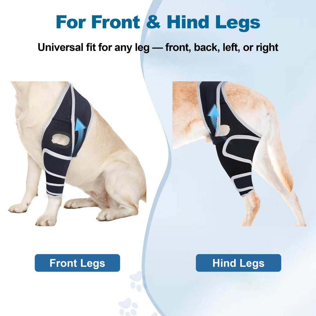 FlexiPaw Universal Dog Knee Brace - PawPattz