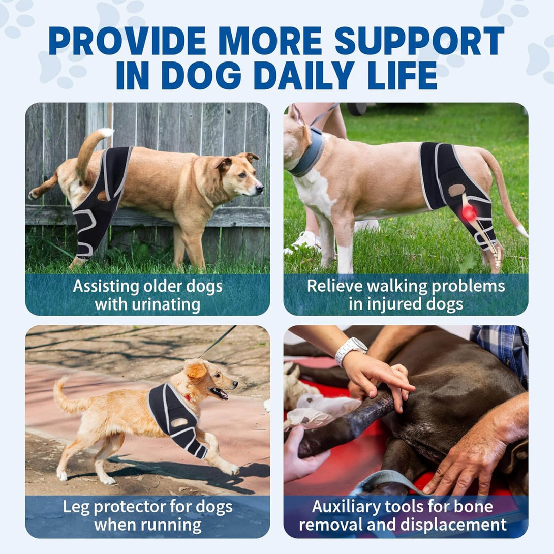 FlexiPaw Universal Dog Knee Brace - PawPattz