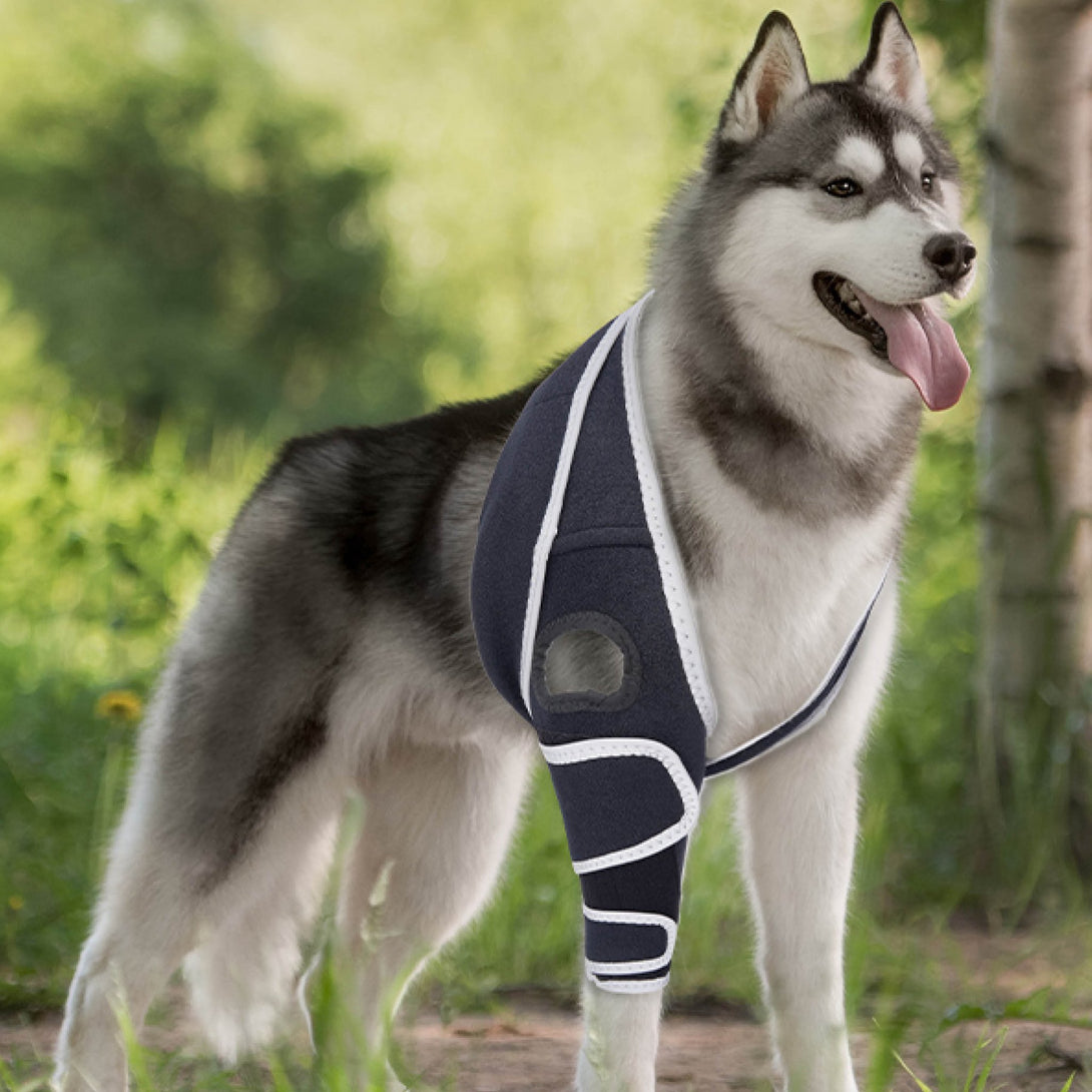 FlexiPaw Universal Dog Knee Brace - PawPattz