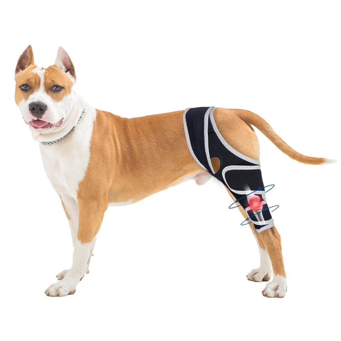 FlexiPaw Universal Dog Knee Brace - PawPattz