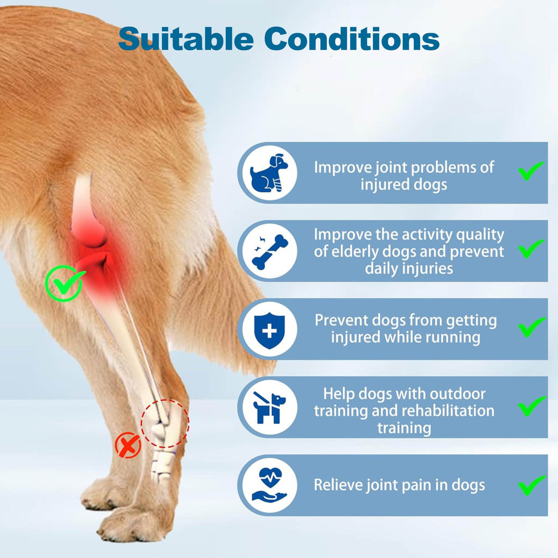FlexiPaw Universal Dog Knee Brace - PawPattz