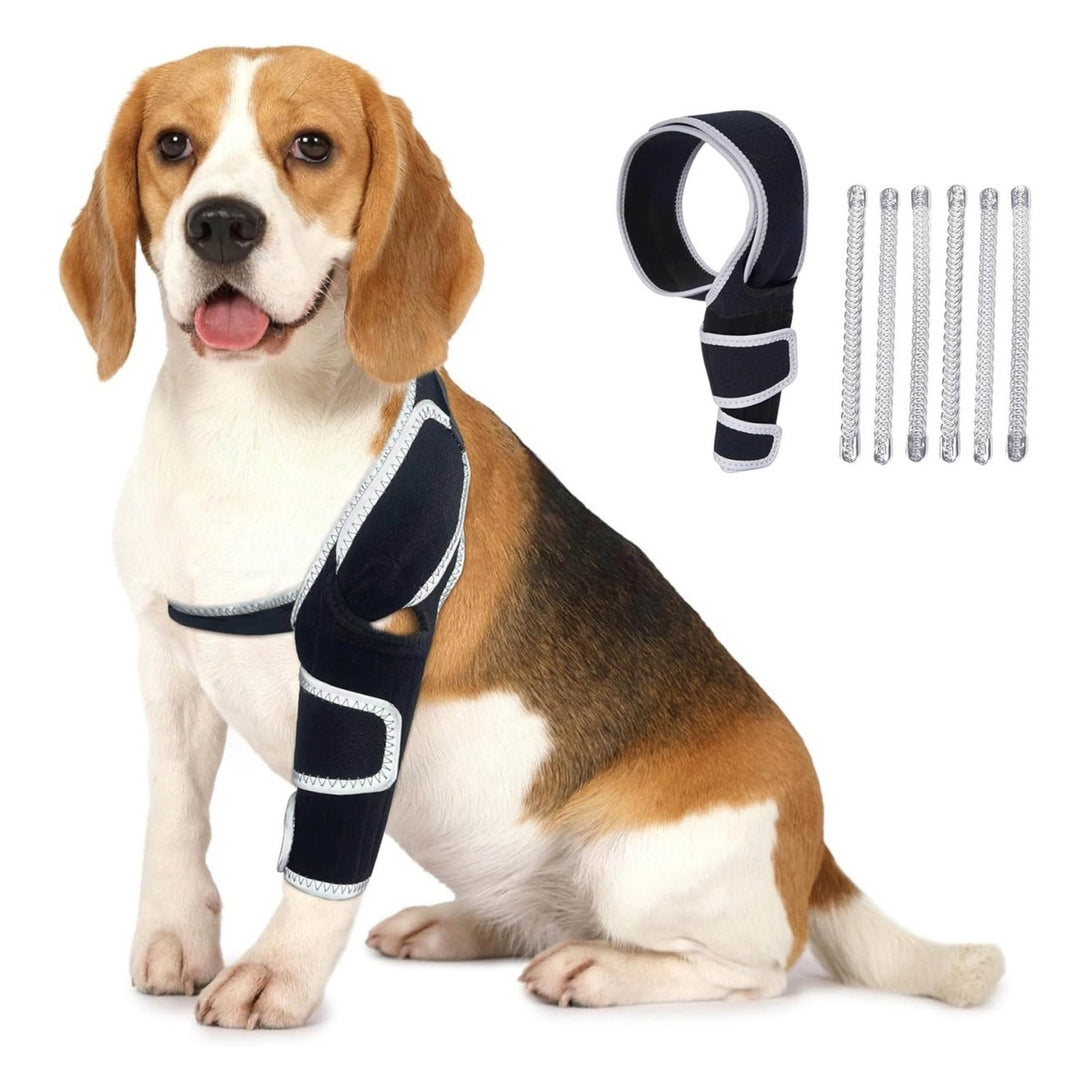 FlexiPaw Universal Dog Knee Brace - PawPattz