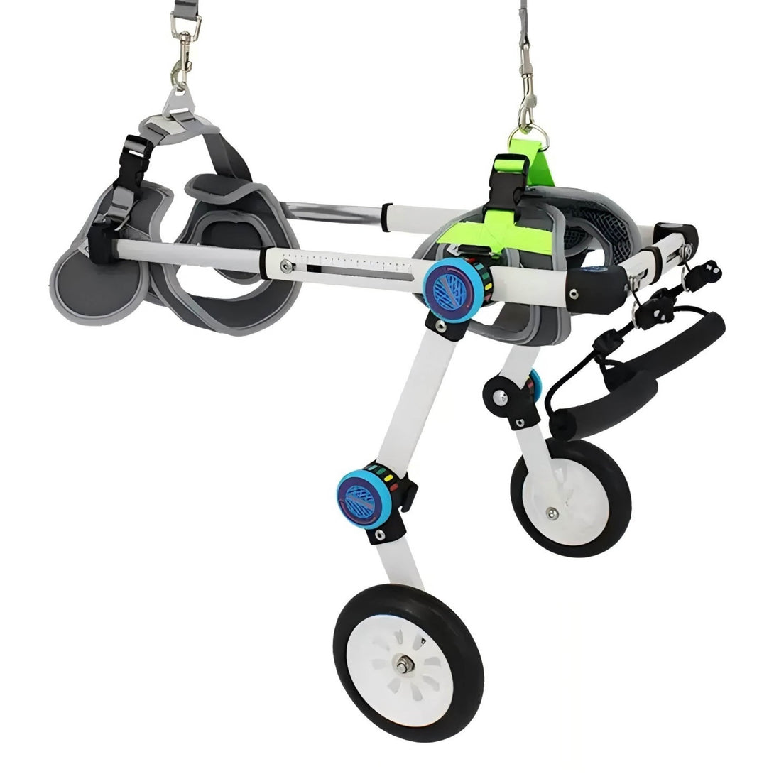 Foldable Rear Leg Dog Wheelchair - PawPattz
