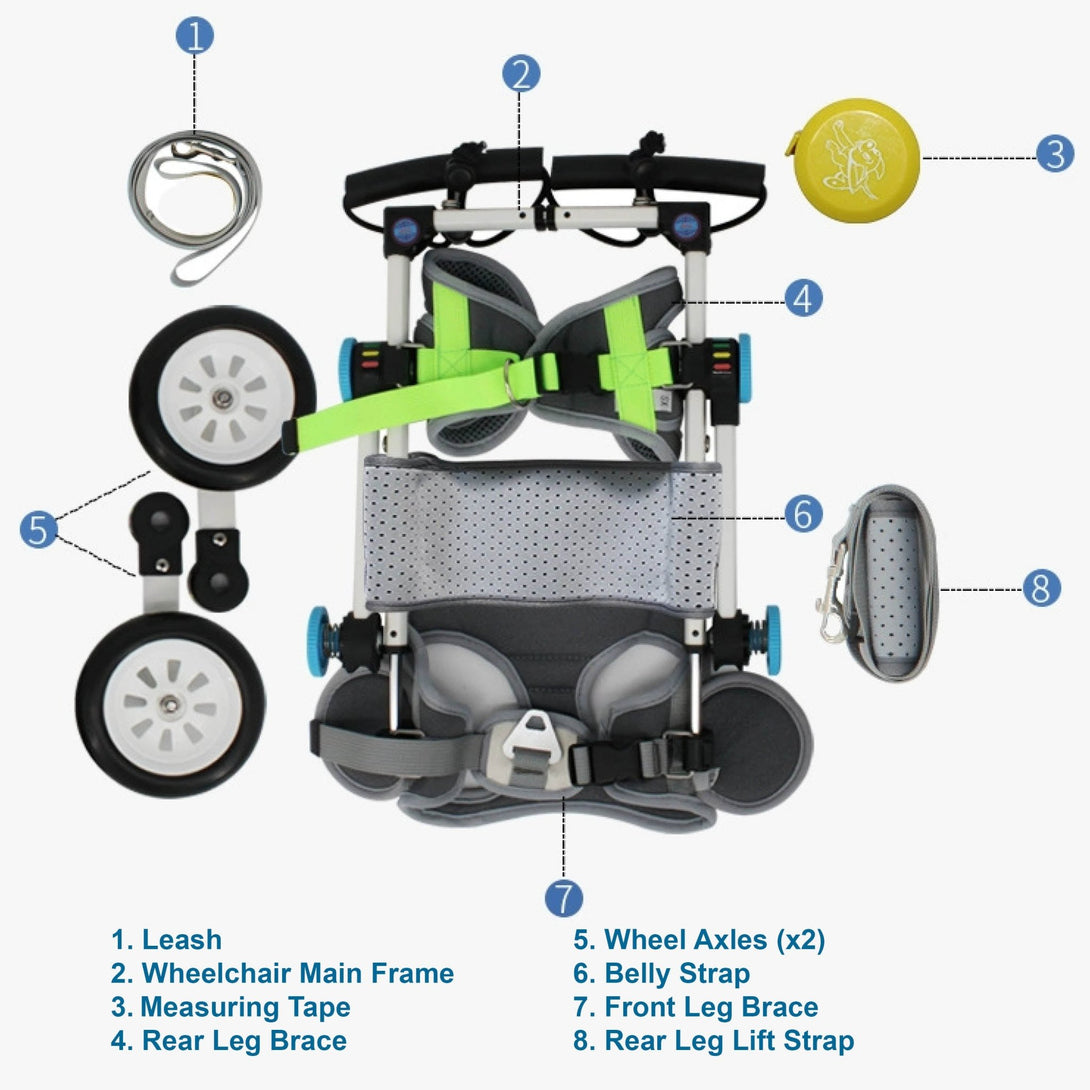 Foldable Rear Leg Dog Wheelchair - PawPattz