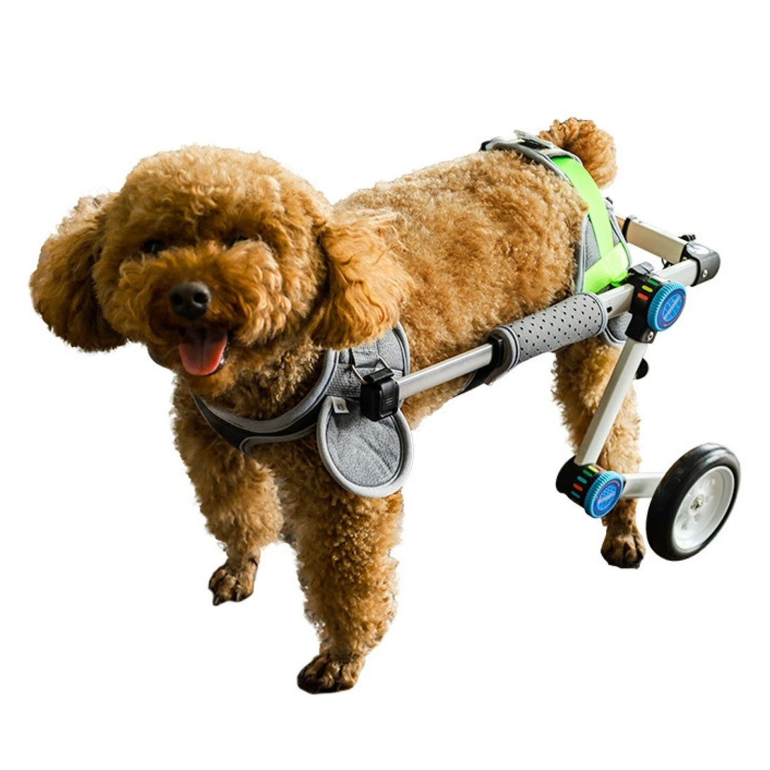 Foldable Rear Leg Dog Wheelchair - PawPattz