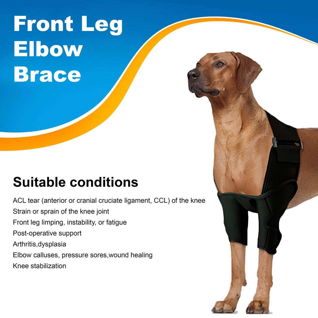 Front Leg Elbow Brace - PawPattz