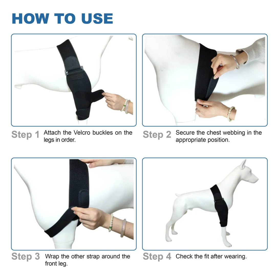 Front Leg Elbow Brace - PawPattz
