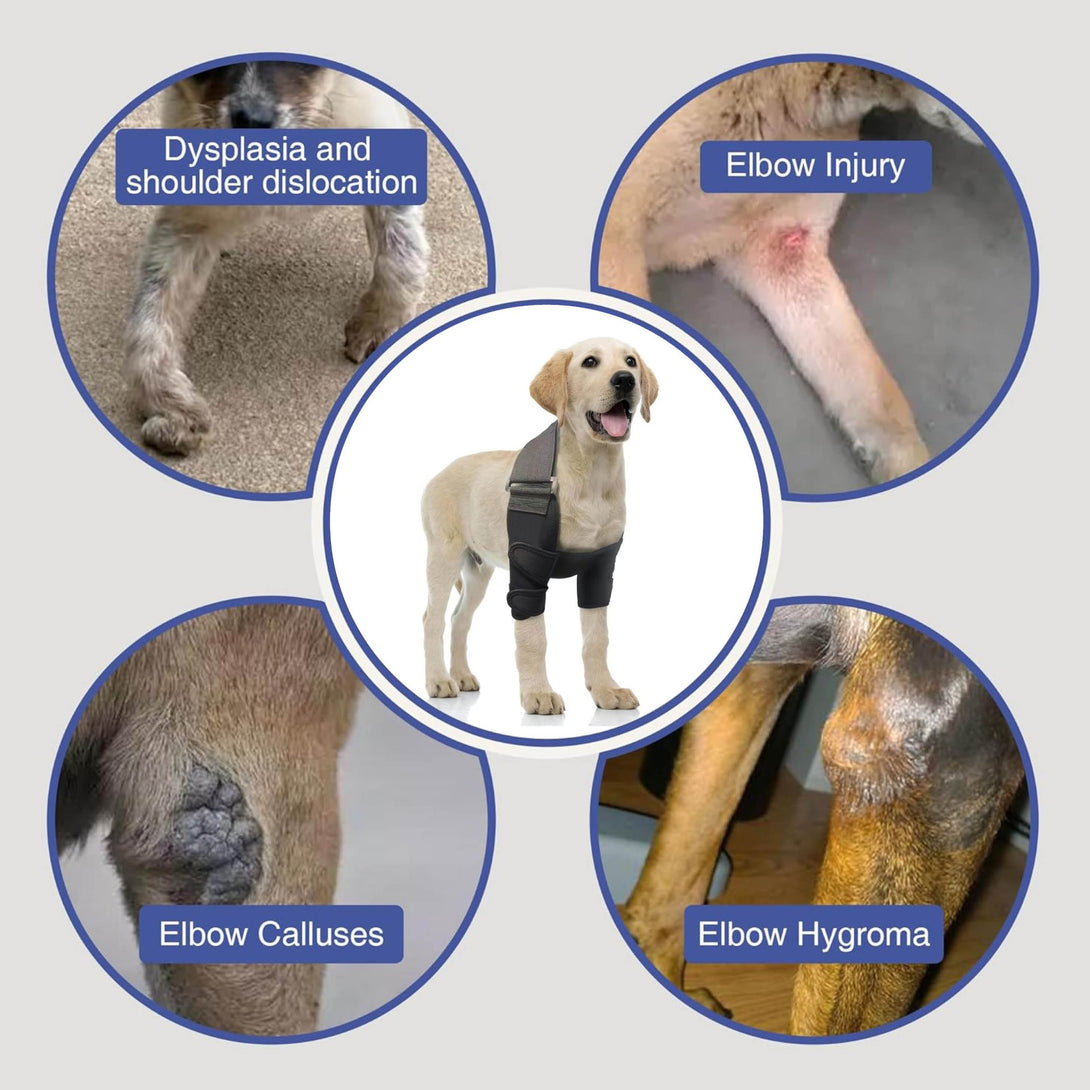 Front Leg Elbow Brace - PawPattz