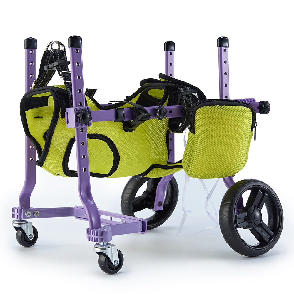 Full Support 4 - Wheel Wheelchair for Small Dogs - PawPattz