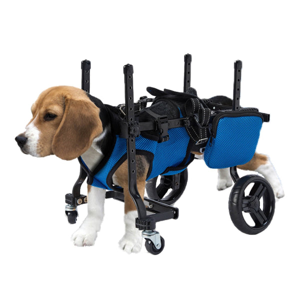 Full Support 4 - Wheel Wheelchair for Small Dogs - PawPattz