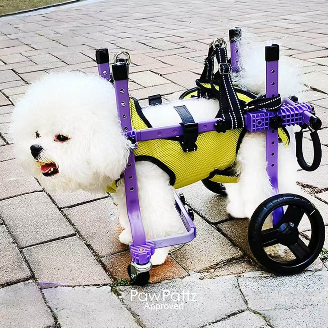 Full Support 4 - Wheel Wheelchair for Small Dogs - PawPattz