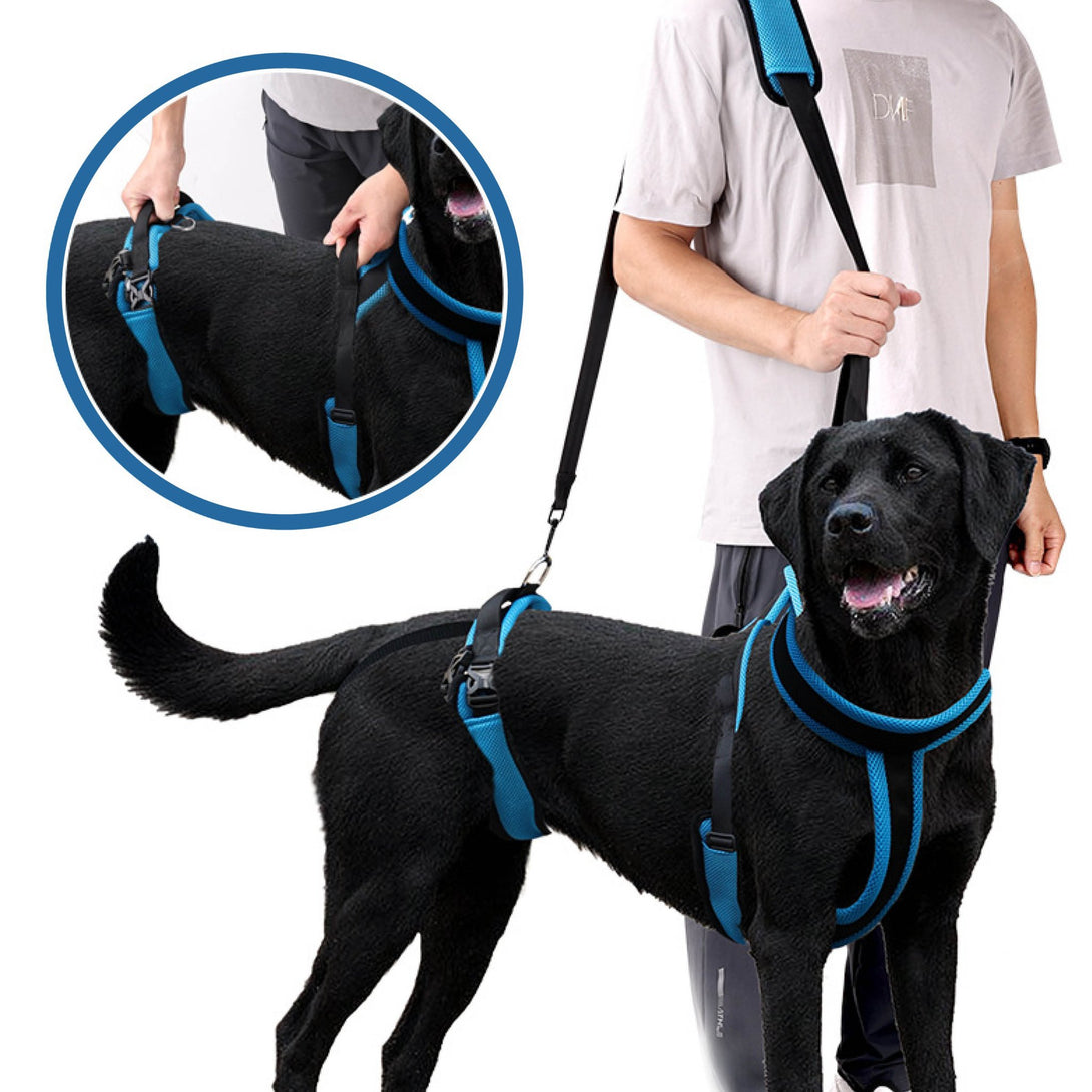 FullCare Dog Lifting Harness - PawPattz