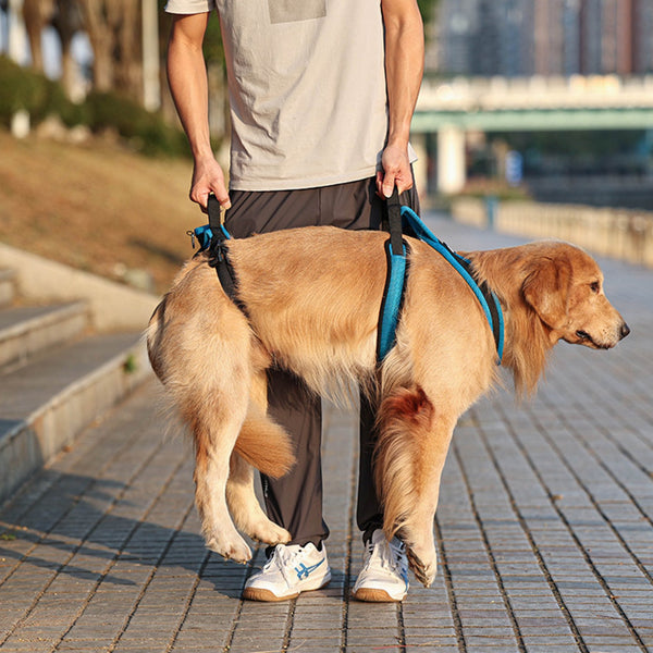 FullCare Dog Lifting Harness - PawPattz