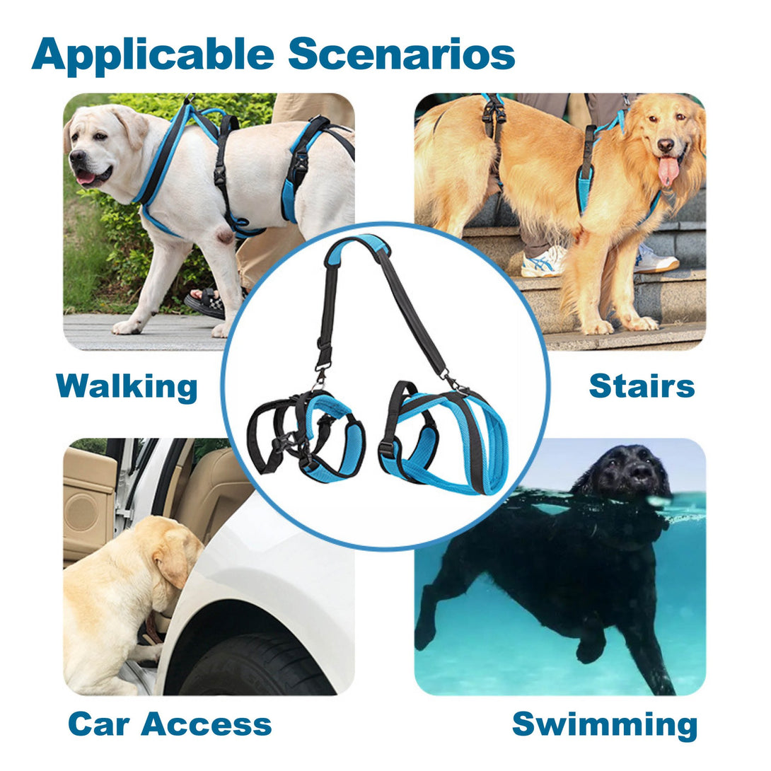 FullCare Dog Lifting Harness - PawPattz