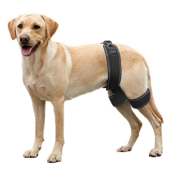 Hip Dysplasia Brace Harness - PawPattz