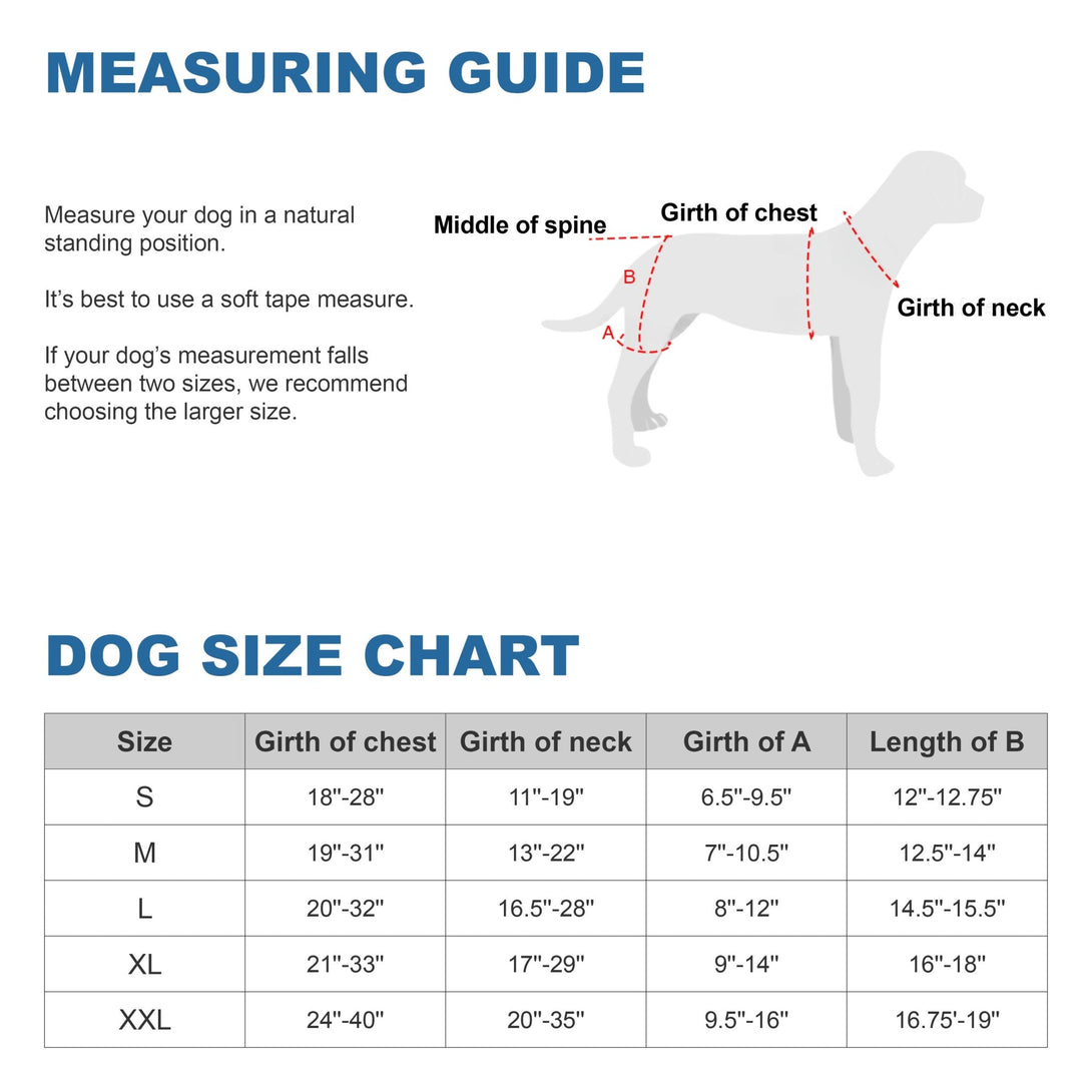 Hip Dysplasia Brace Harness Pro - PawPattz