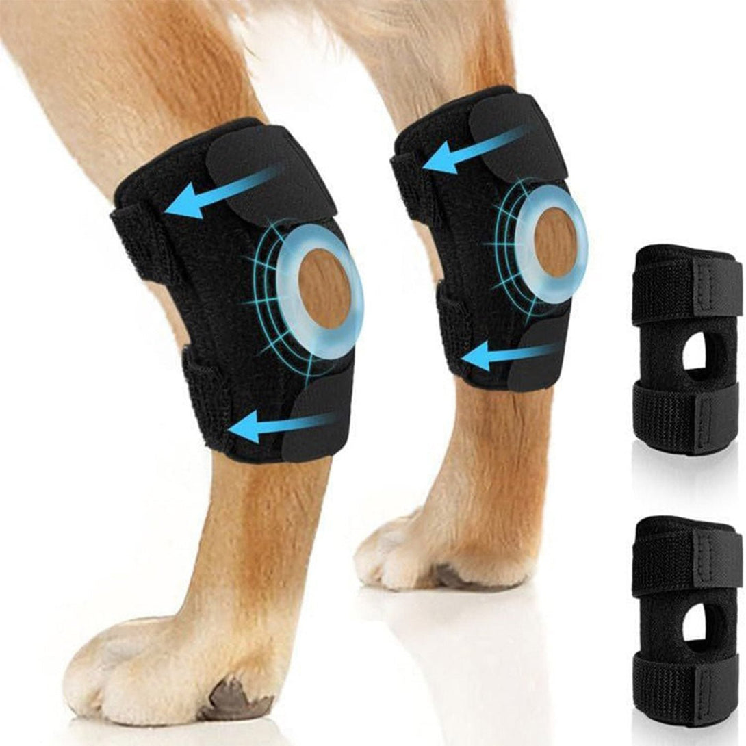 Hock Joint Brace for Dog 2.0 - PawPattz