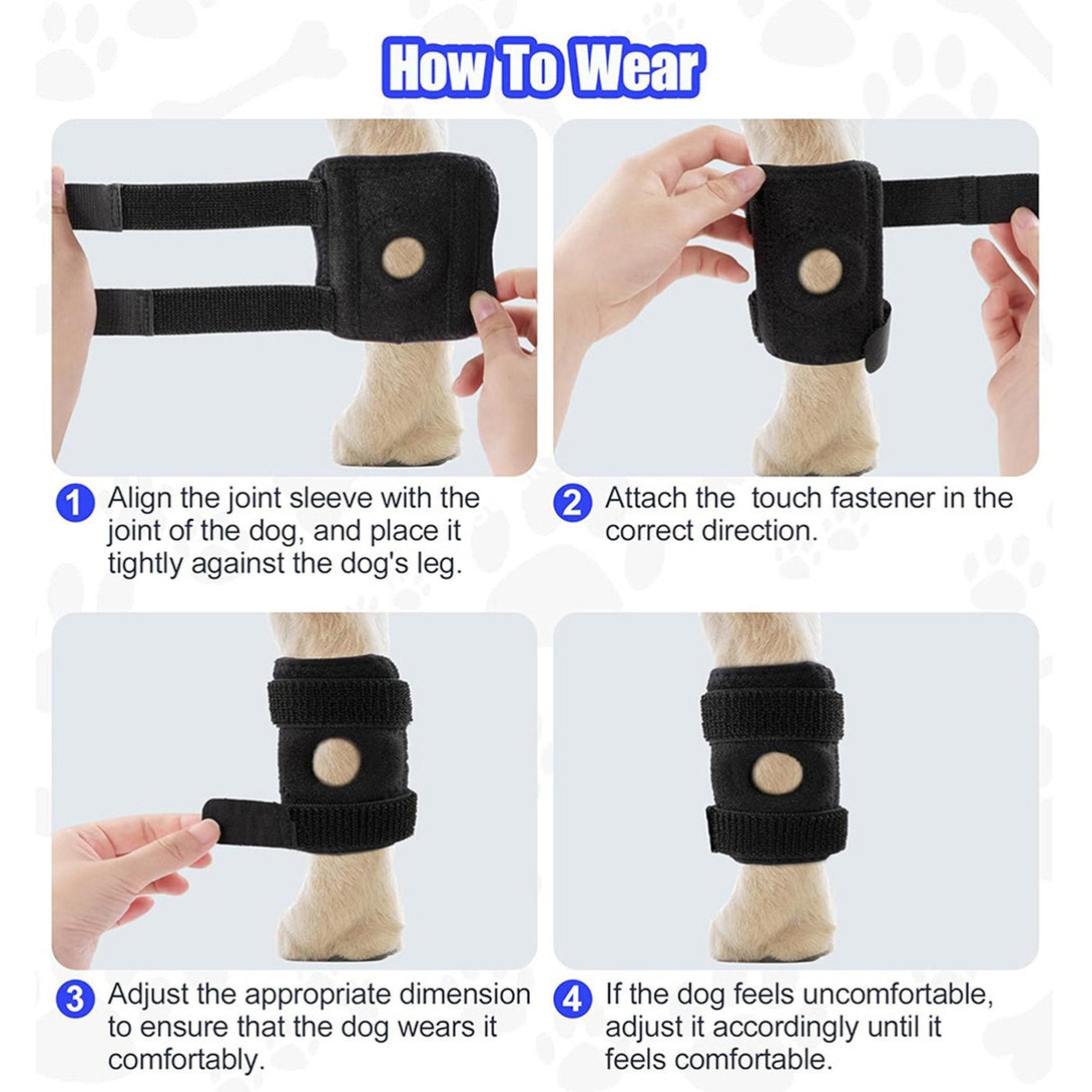 Hock Joint Brace for Dog 2.0 - PawPattz