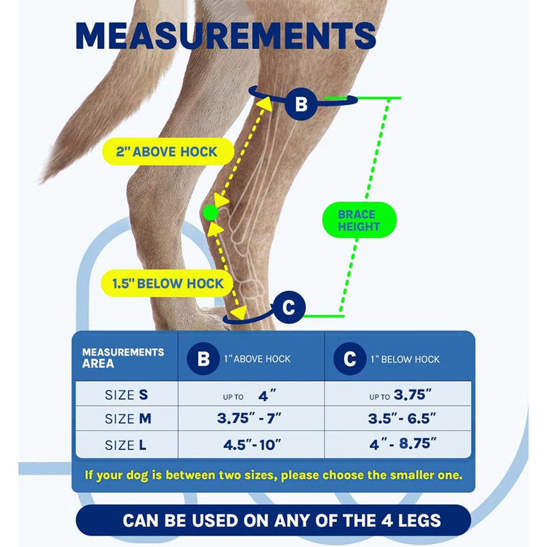 Hock Joint Brace for Dog 2.0 - PawPattz