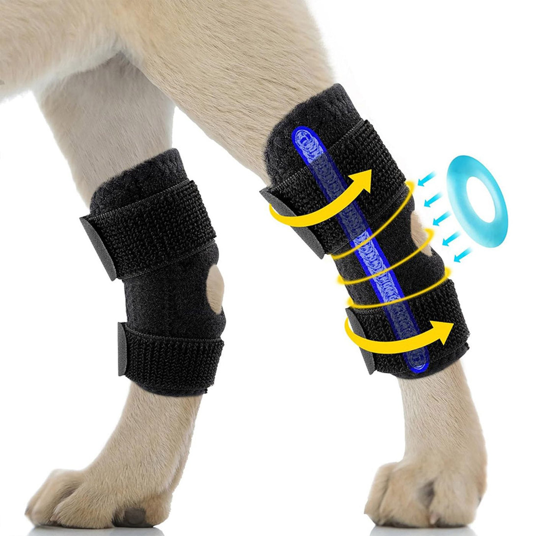 Hock Joint Brace for Dog 2.0 - PawPattz