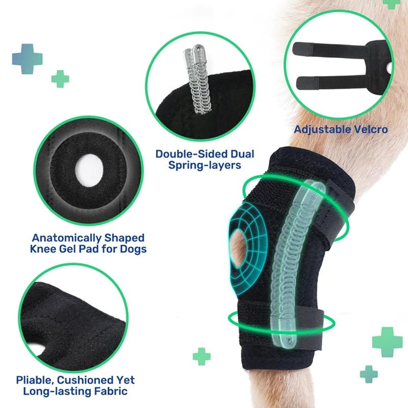 Hock Joint Brace for Dog 2.0 - PawPattz