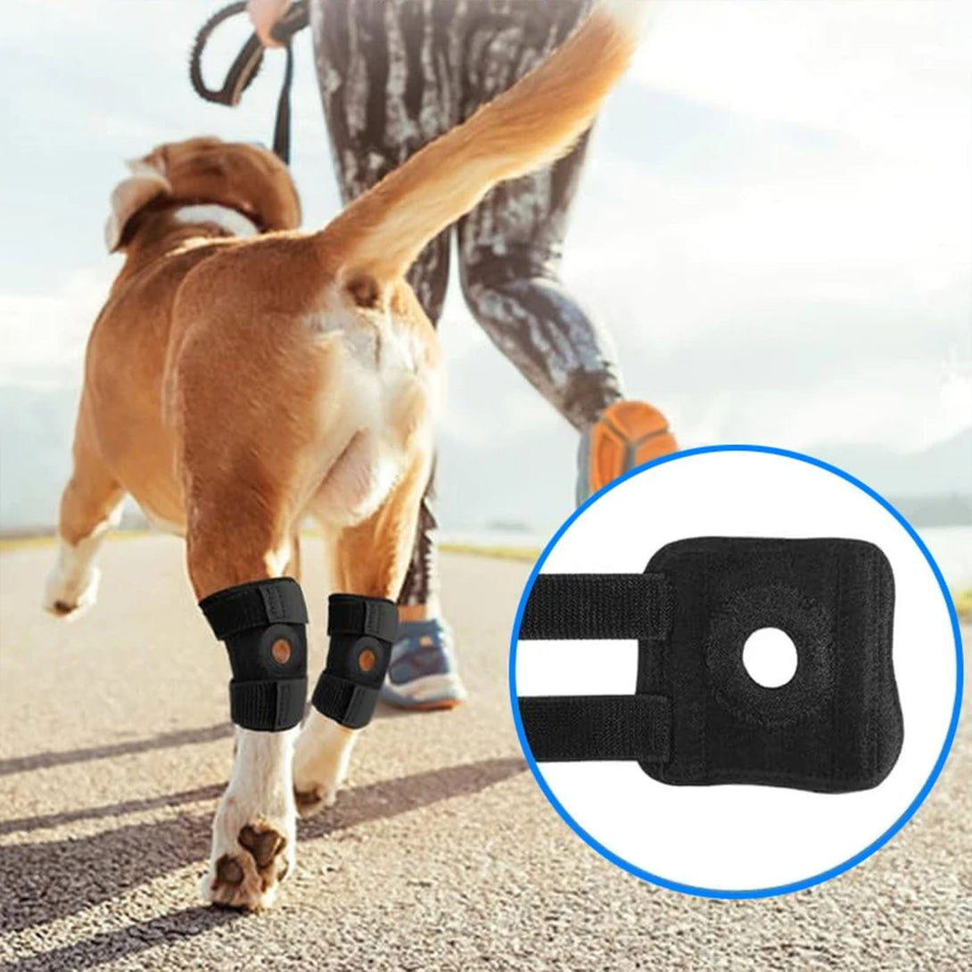 Hock Joint Brace for Dog 2.0 - PawPattz