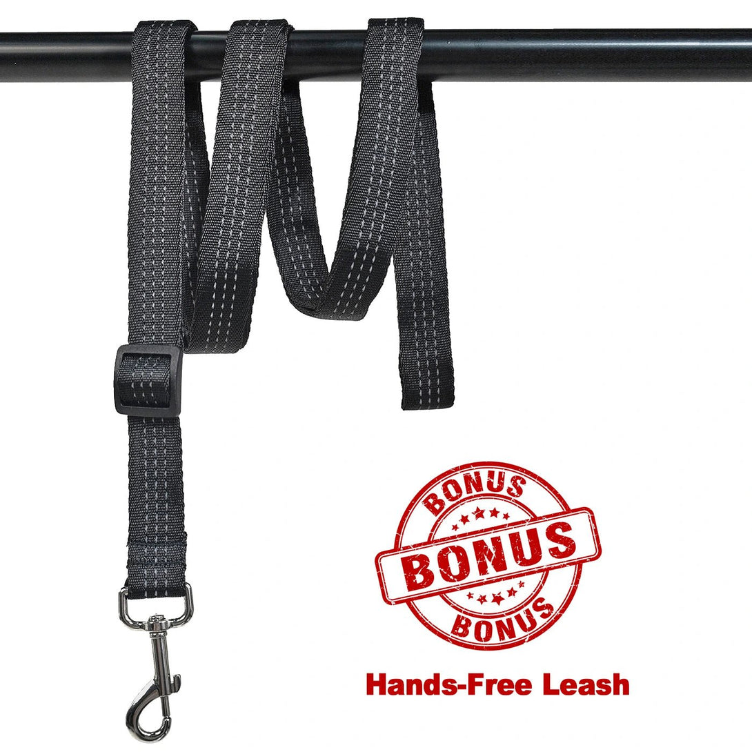 Rear Leg Knee Brace Harness for Medium to Large Dog - PawPattz