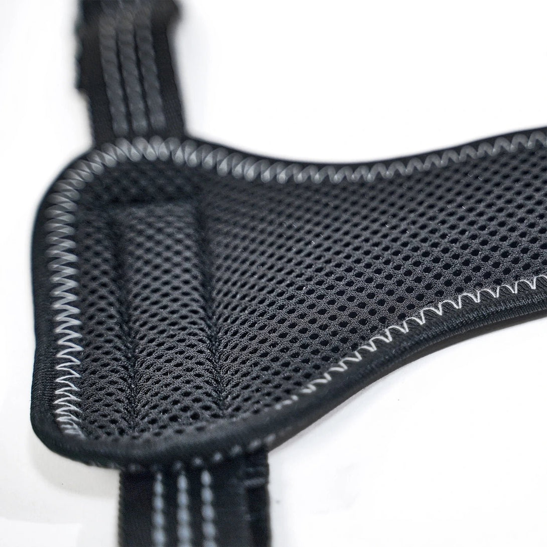 Rear Leg Knee Brace Harness for Medium to Large Dog - PawPattz