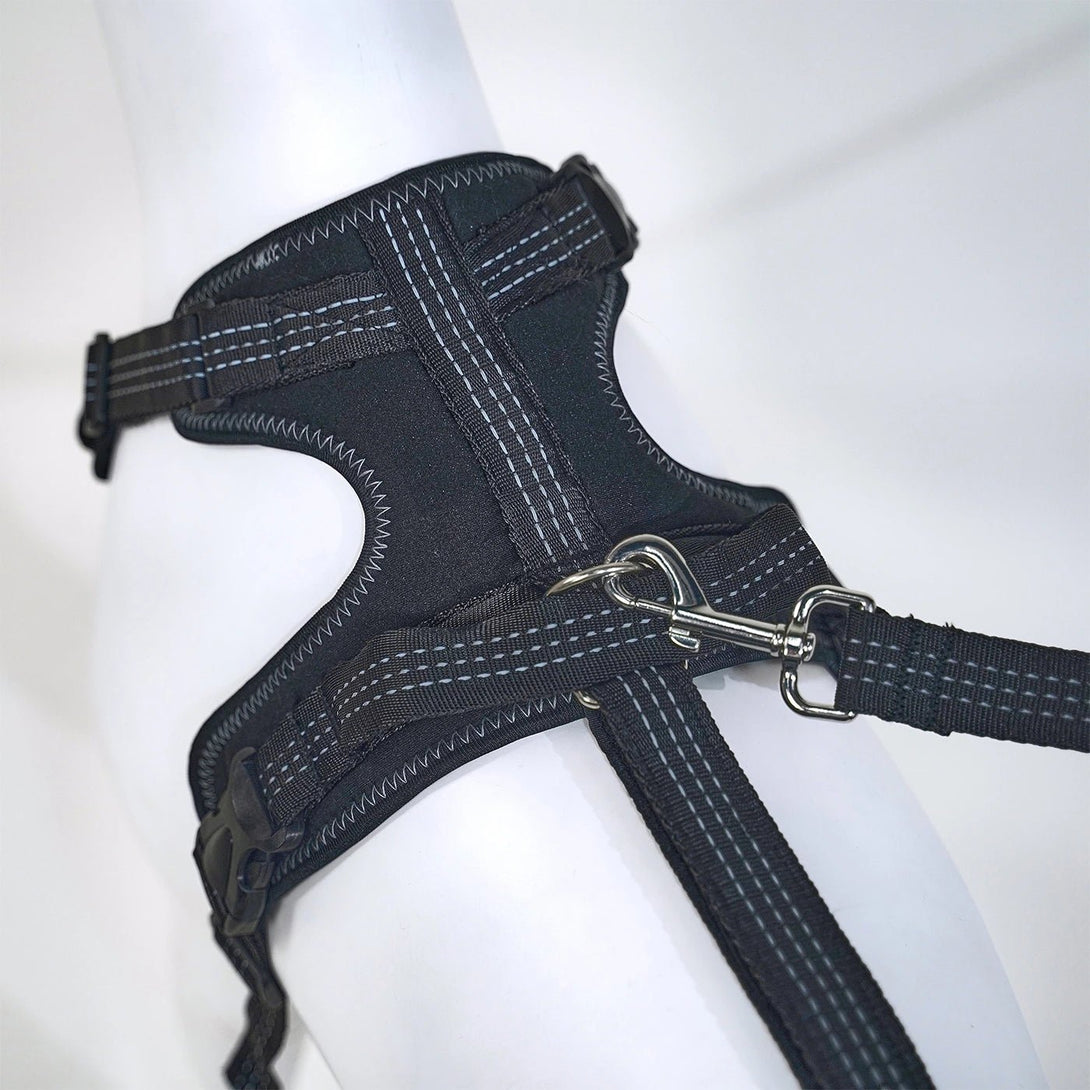 Rear Leg Knee Brace Harness for Medium to Large Dog - PawPattz
