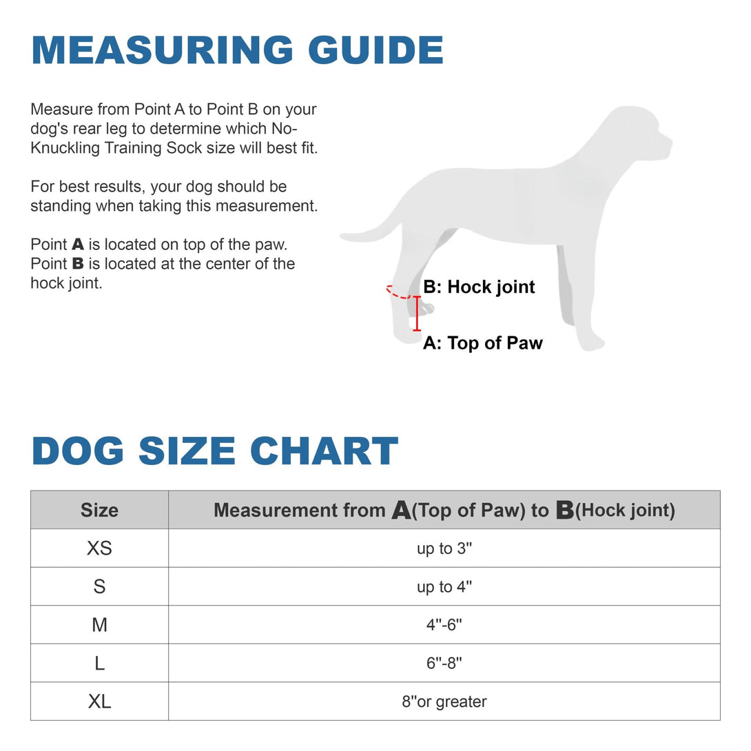 Rear Leg No - Knuckling Training Sock - PawPattz