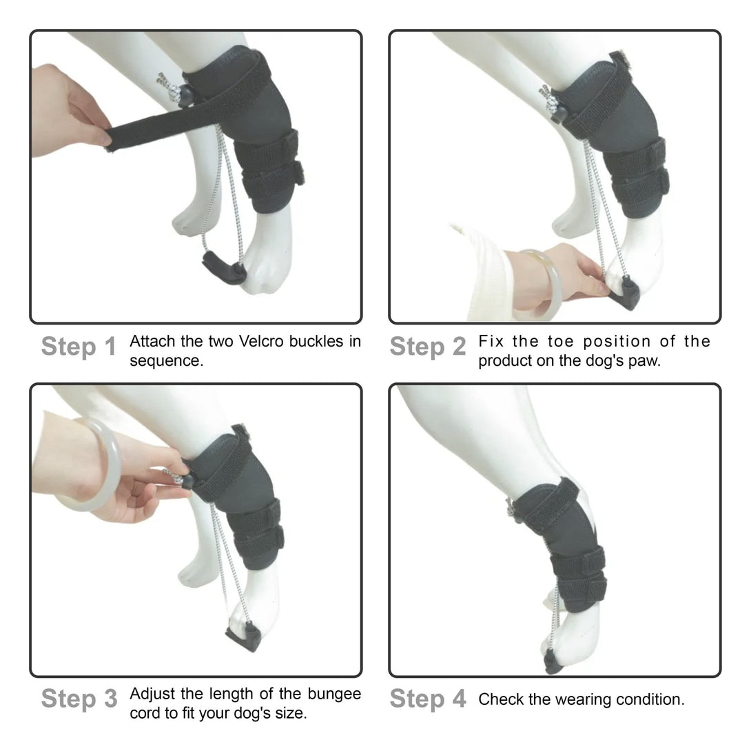 Rear Leg No - Knuckling Training Sock - PawPattz