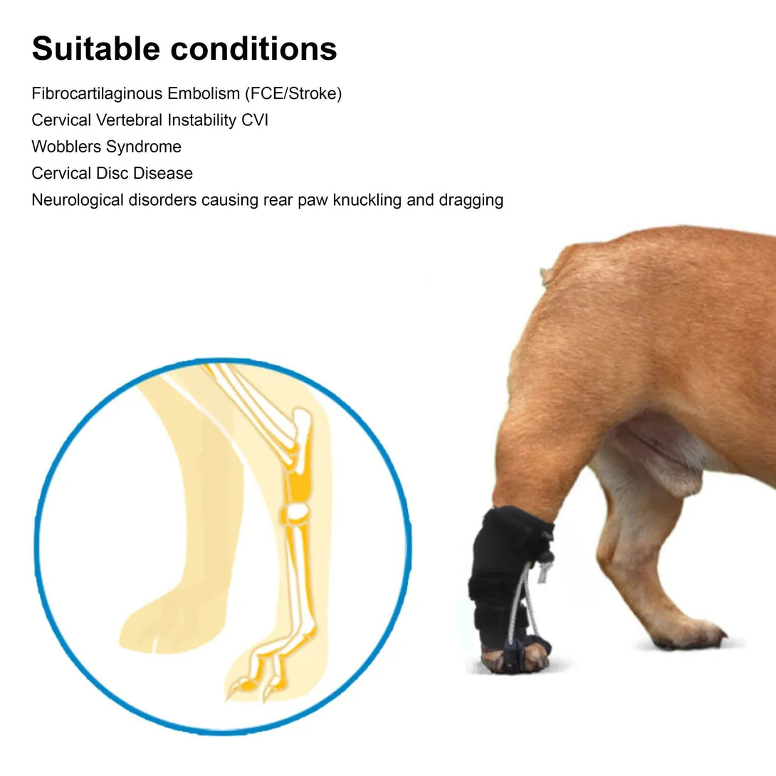 Rear Leg No - Knuckling Training Sock - PawPattz