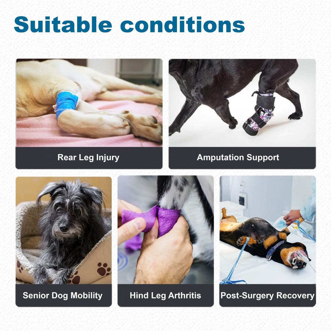 Rear Leg Support Harness for Senior and Disabled Dogs - PawPattz